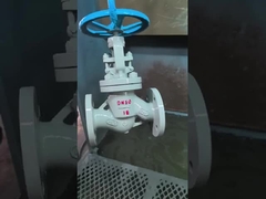 Globe valve stop valve