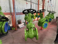 ANSI gate valve show