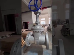 API ANSI DIN GATE VALVE