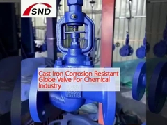 Cast Iron Corrosion Resistant Globe Valve For Chemical Industry