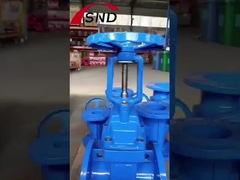 Ductile Iron Gate Valve
