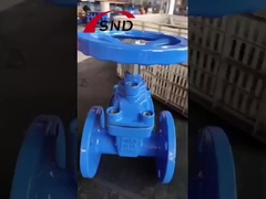 Cast Iron Gate Valves
