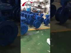 Butterfly Valve