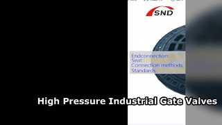 Industrial Gate Valve Class 150 to 1500 ISO Standard